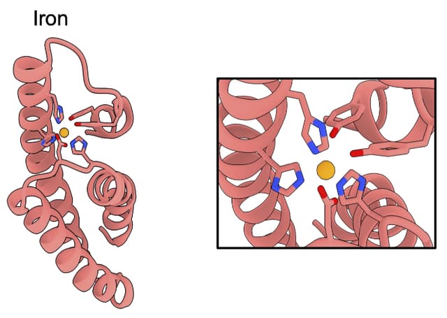 BoltzDesign1: A New Open-Source Tool for All-Atom Protein Design